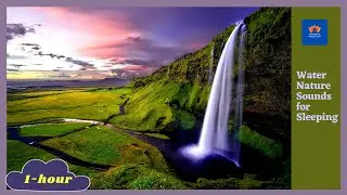 1-hour water nature sounds for sleeping😴relaxing music with water sounds by relaxation music cloud🎧
