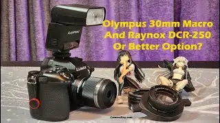 Olympus 30mm Macro Lens And Raynox DCR-250 Adapter Review