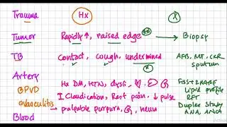 Leg ulcer evaluation (Differential diagnosis, clinical findings, investigations)