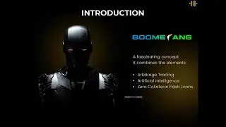 BOOMERANG NEW STACKABLE INTERRUPTER AI BOT CRYPTO ARBITRAGE PROFIT SYSTEMS (002) TOP TEAM ROB BUSER