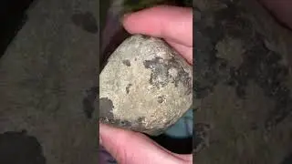 Meteorite or meteorwrong? What you think?
