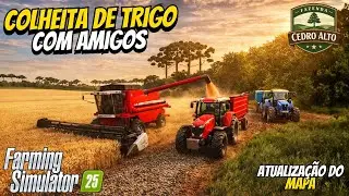 COLHEITA DE TRIGO COM OS GURI NO MAPA NOVO! FAZENDA CEDRO ALTO