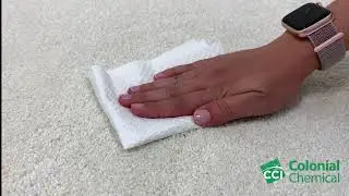 Carpet Spot Remover with Suga&reg;Boost 030