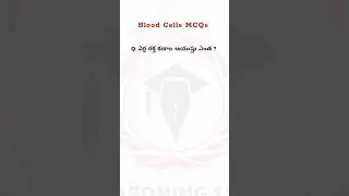 Blood Cells Questions & Answers in Telugu | Simple Explanation#shorts#viral#2026