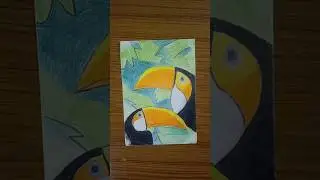 South America pa iruthu oru brid drawing #music #love #song #expressure #doodle