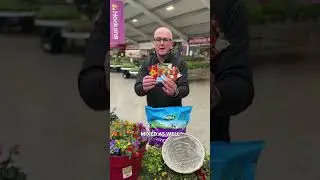 Hanging Baskets Summer Tips - Horkans Garden Centre