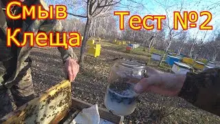 Тест №2   СМЫВ КЛЕЩА! Проверка на наличие клеща