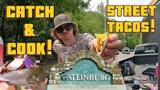 DOWNTOWN GATLINBURG STREET TACOS! | CATCH AND COOK! (Best rainbow trout recipe!?)