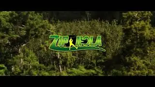 Zip Nola Highlights