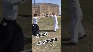Sansho 2 #aikido #weaponstraining #alwaystraining