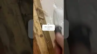 Termite damage!