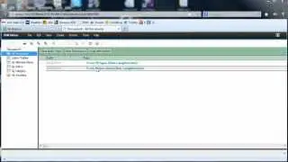 First test of XPages in Notes Browser Plugin recorded