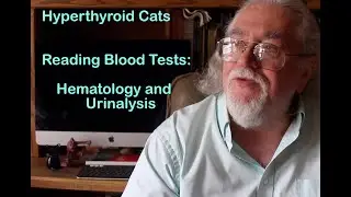 Hyperthyroid Cats:  Reading Blood Tests (Hematology and Urinalysis)
