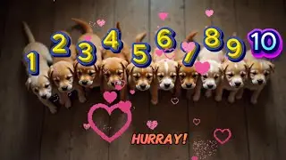 Can You Count All 10 Puppies in This Video?