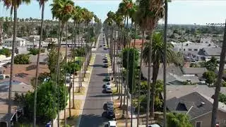 Avenues & Palm Trees 🌴 Produced By Digital West !