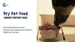 Dry Pet Food Market Report 2023 | Forecast, Market Size & Growth