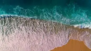 HD video/ nature video #bestsoundqawality #hd #hdvideo #3danimation #viral #trending #sea @MrBeast 