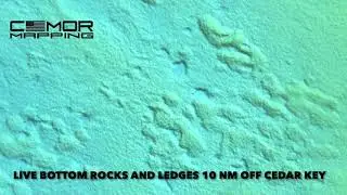 All new CMOR WEST FL V2!