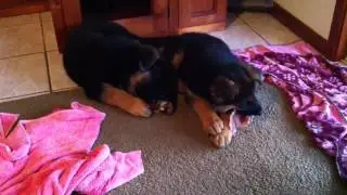 Sweetest play
