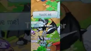 THAT ONE JAMMER &ldquo;The Trader&rdquo; (ANIMAL JAM CLASSIC) #aj #animaljam #ajclassic #ajc