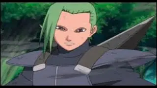Naruto Arena Classic - Ninja Mission  -  Animal Path Pein (S)