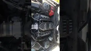 #coyotemustang #fordmustang #mustang #coyote #awetuning #boss302 #fyp