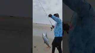 King fish #angler #fishing #fishing #okuma #doha