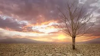 Ecosystems And climate Change Research