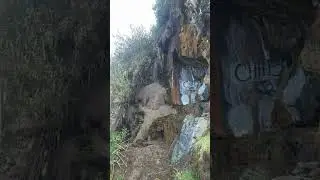 #cascada de #mixquiahuala en #hidalgo  #LaNaveVa