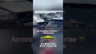 Ручные вороны на авторынке Каунас😲 #автолитва #автоизевропы #еврокаржитомир #автоизлитвы