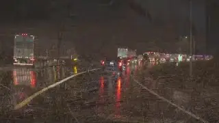 Metro East driver dead after trying to warn other drivers about accident