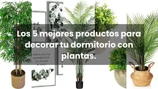 Plantas para dormitorio: Los 5 mejores productos para decorar tu dormitorio con plantas.
