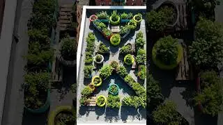 From Seed to Garden