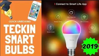 Best 2019 Smart Light Bulbs for Google Home and Alexa