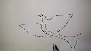 Easy Dove Bird Flying Drawing // Easy Drawing