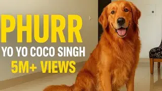 PHURR  Song - Yo Yo Coco  |  | Kis Kisko Pyear karu | Bella |Maya