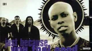 Skunk Anansie .Hedonism  /. backing track Batterie