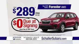 Schaller Subaru -  Forester Sign and Drive - Sept 2020