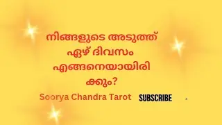 നിങ്ങളുടെ അടുത്ത ഏഴ് ദിവസങ്ങൾ എങ്ങനെയായിരിക്കും? #tarotworld #tarot #fortunetelling #astrology