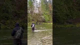 What Steelhead Fishing IS REALLY LIKE