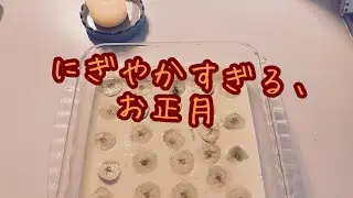 あけましておめでとう｜うるさすぎるお正月と、やさしいおやつ