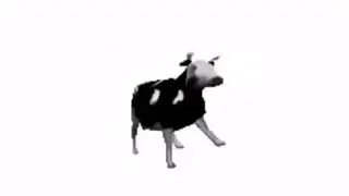 Polish cow vs Mmmm cow