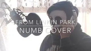 LINKIN PARK - NUMB COVER by THE SINGING PANDA