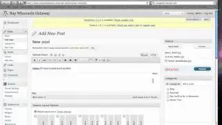 Using the Toolbar in WordPress to Add Content