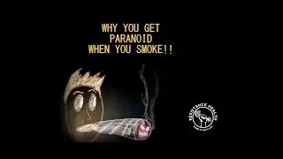 Get Anxiety/Paranoid When You Smoke??--WATCH THIS VIDEO!