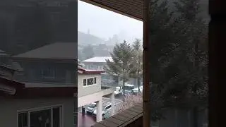 Snowy again #korea #gunpo