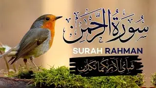 Surah Rehman Revealed Top Quran Recitation Techniques  #tilawat #allah #surahrahman