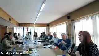 Protocolizaci&oacute;n de planos: An&aacute;lisis de las Resoluciones Catastrales.