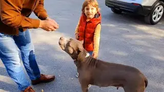 Fatih Selim Tuğrul abisinin köpekleriyle tanışıyor onlara fıstık yedirdik,sevdik.