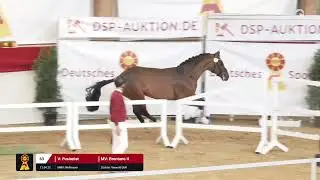 Lot 63 v. Fusionist / Brentano II